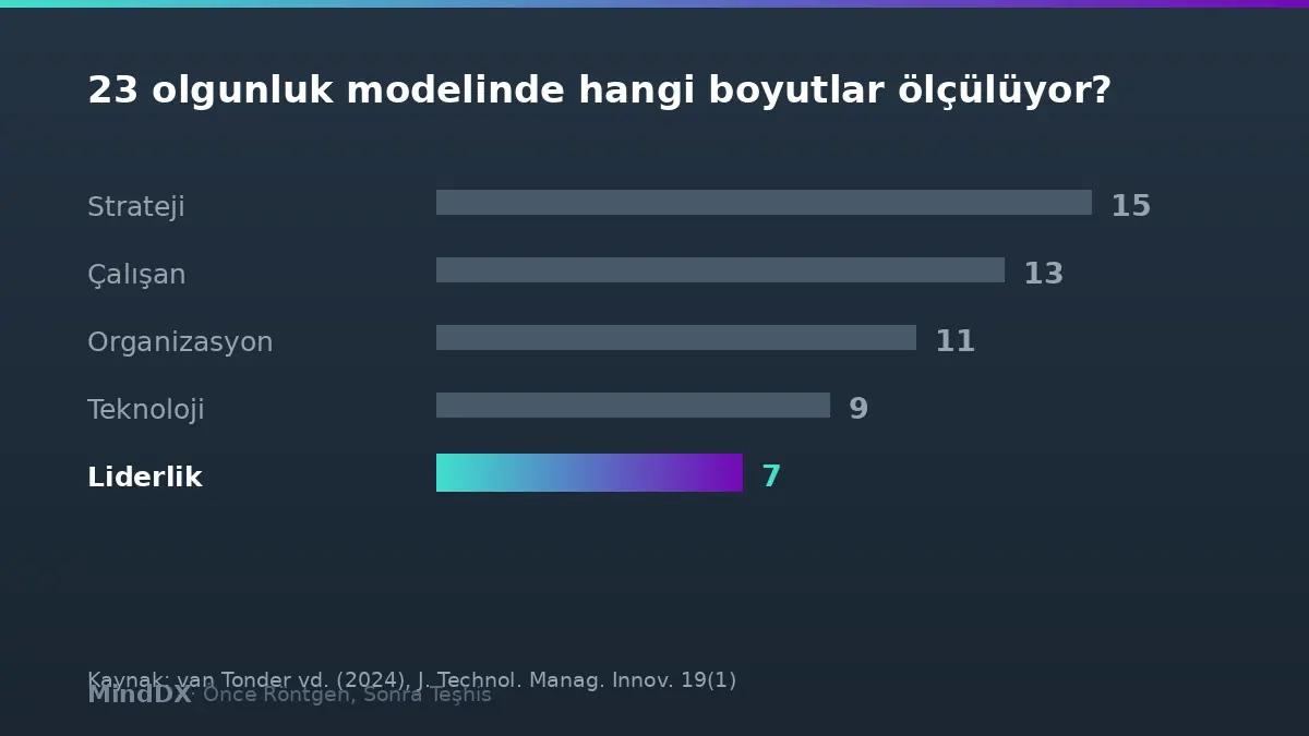 23 dijital olgunluk modelinde liderlik boyutu yalnızca 7 modelde ölçülüyor — van Tonder vd. 2024