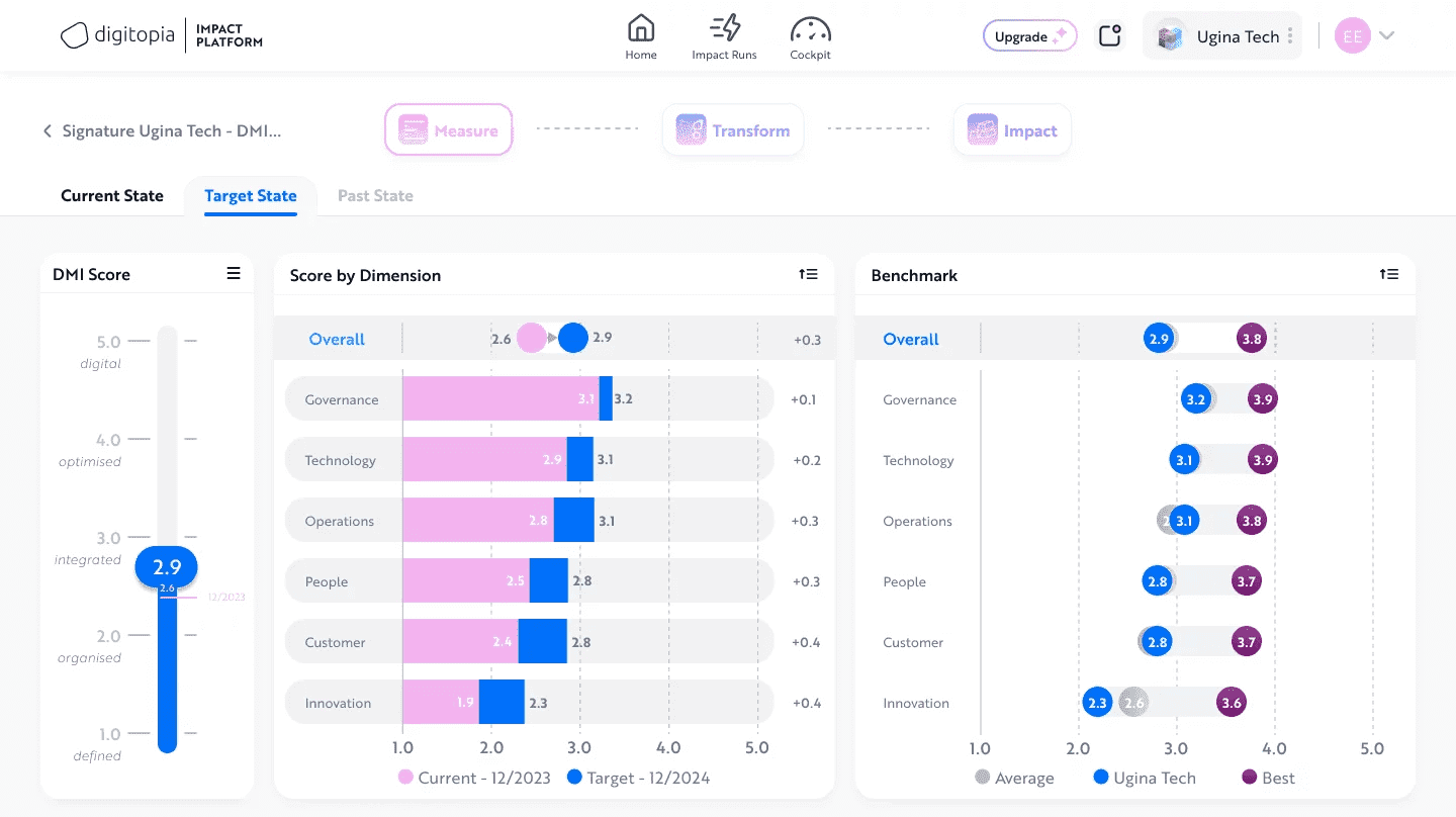 Digitopia Impact Platform Digital Maturity Target State