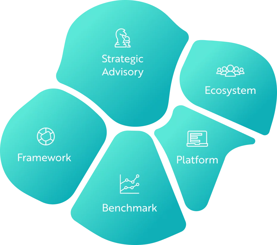 Sustainability-Transformation-Management